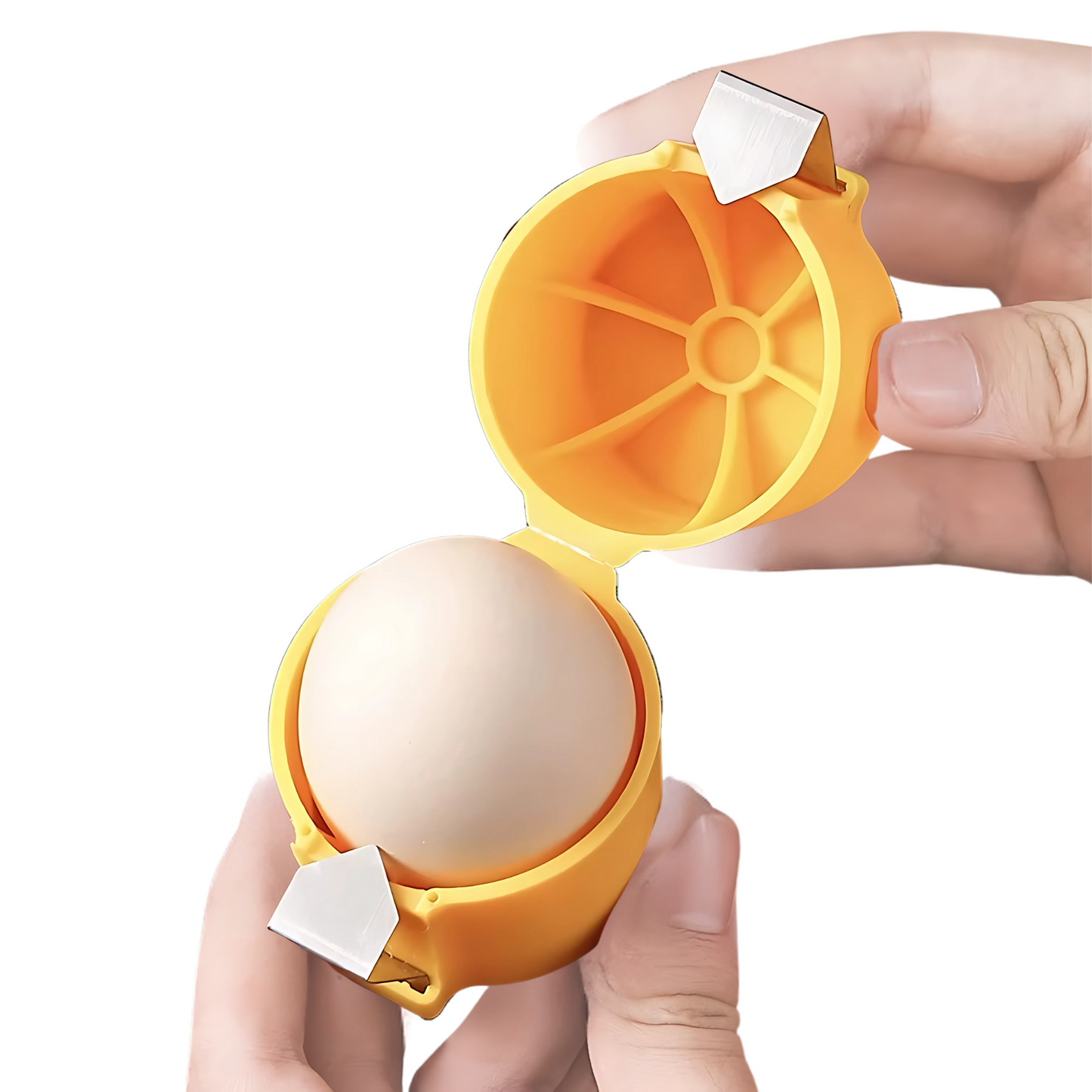 SnapEgg