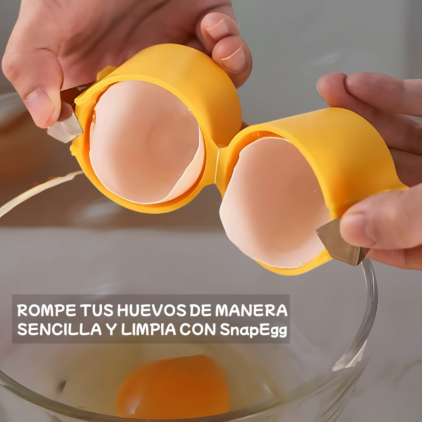 SnapEgg